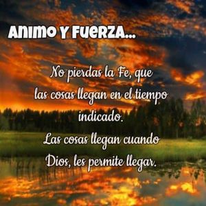 东北大屁股老熟妇ass
