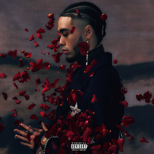 东北大屁股老熟妇ass
